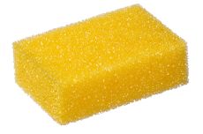 Coarse sponge for insect removal on glass