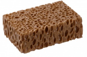Sponge Premium L
