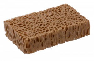 Sponge Premium M